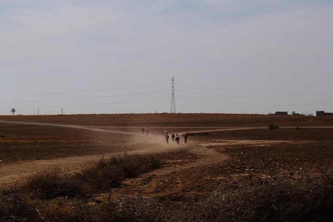 Marrakech Palm Grove Cycling, Local Community & Picnic Tour - Inclusions and Logistics