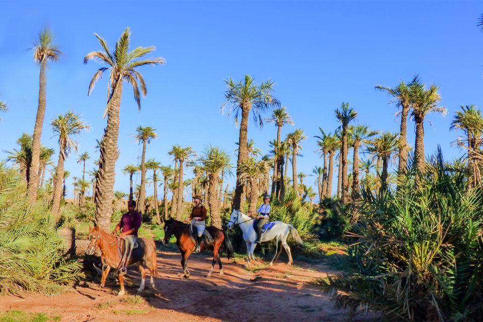 Marrakech: Palm Grove Horseback Riding Tour - Key Points