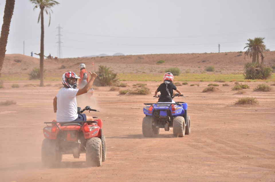 Marrakech: Palm Grove Quad Bike Tour - Key Points