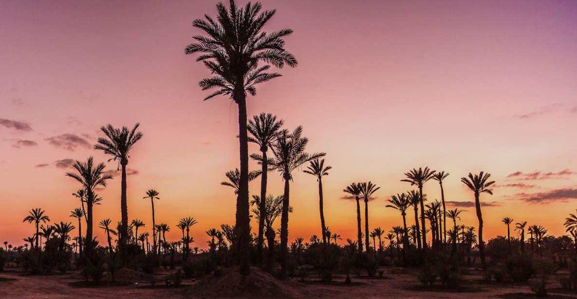 Marrakech Palmeraie: Camel Ride at Sunset - Key Points