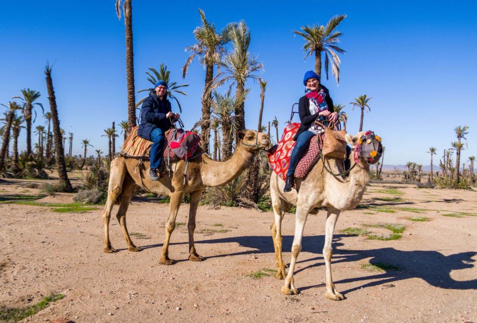 Marrakech Palmeraie : Camel Ride in the Oasis With Tea - Key Points