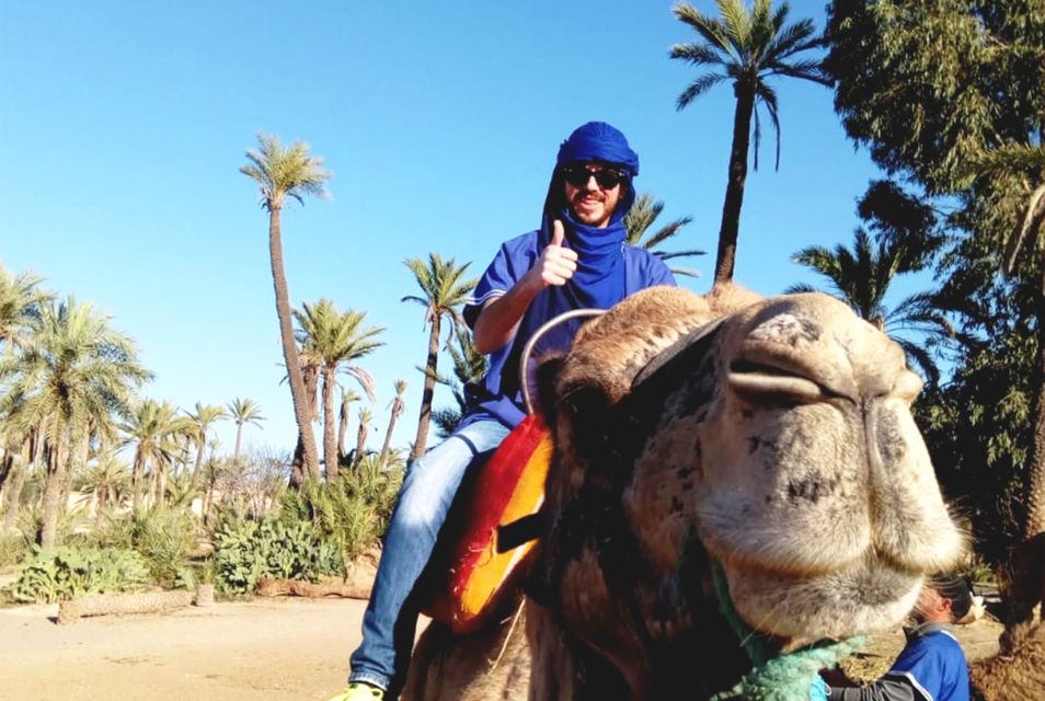 Marrakech Palmeraie: Camel Ride & Quad Bike Experience - Key Points