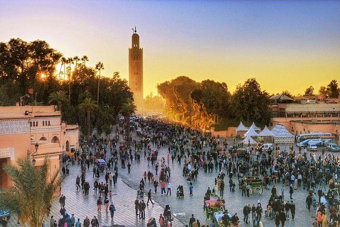 Marrakech: Private Guided Half-Day City Tours - Tour Pricing and Booking Details