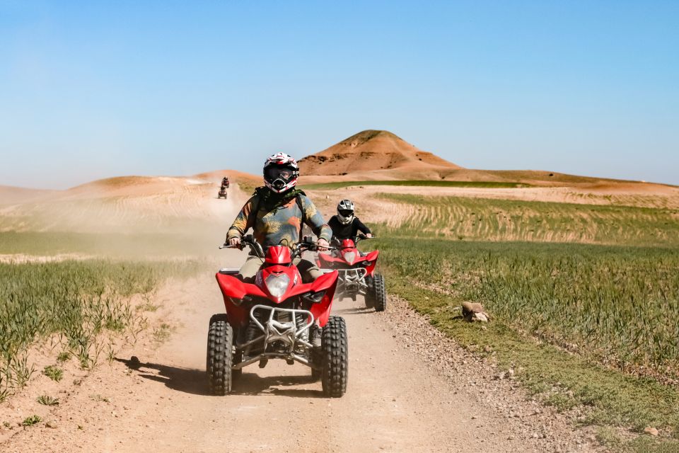 Marrakech Quad Bike Experience: Desert and Palmeraie - Key Points