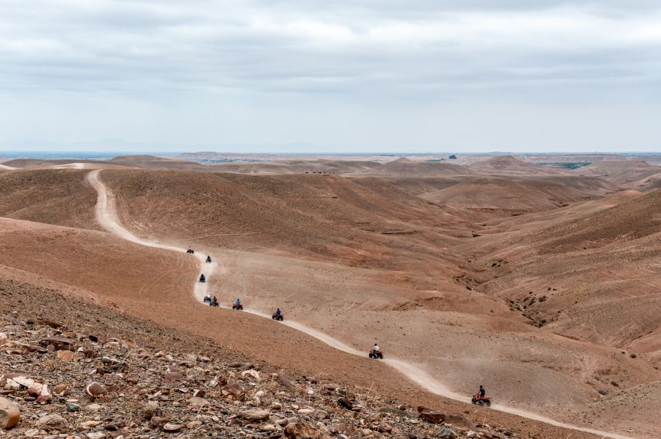 Marrakech: Quad in Jbilets Desert Tour W/ Palm Grove & Pool - Key Points