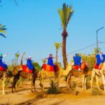 marrakech sunset camel ride in palmeraie Marrakech: Sunset Camel Ride in Palmeraie
