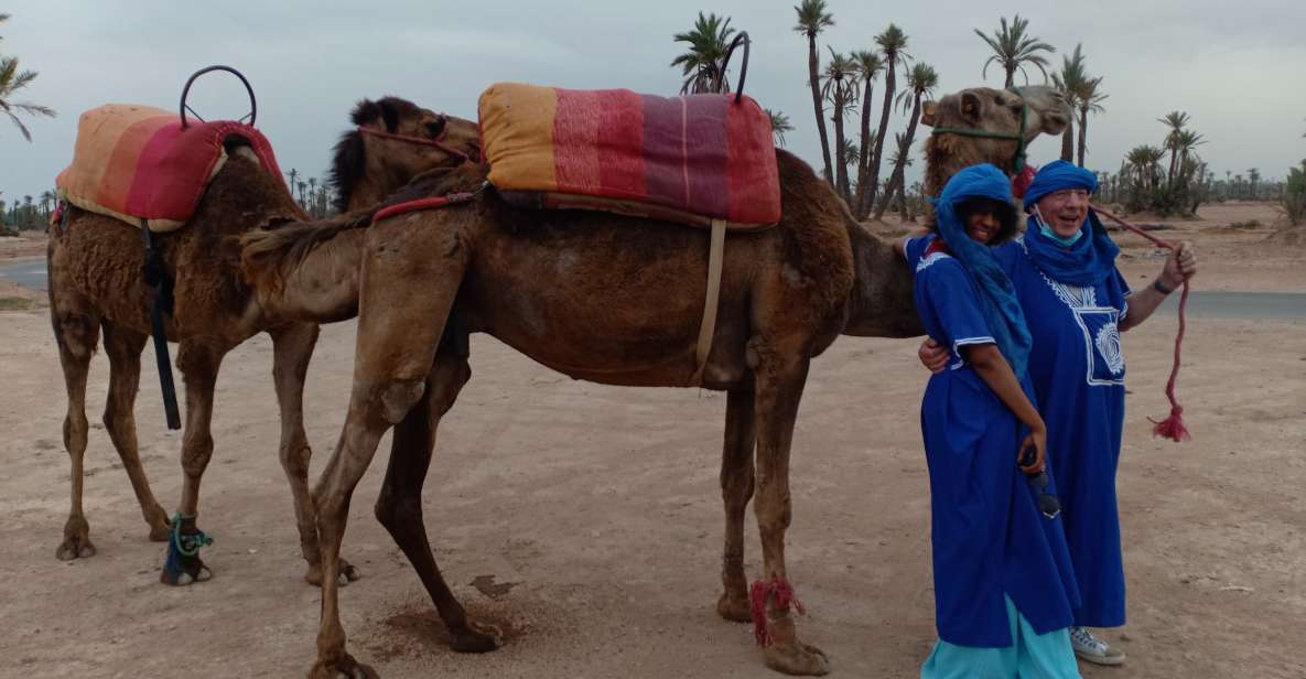 Marrakech: Sunset Camel Ride in the Palmeraie - Key Points