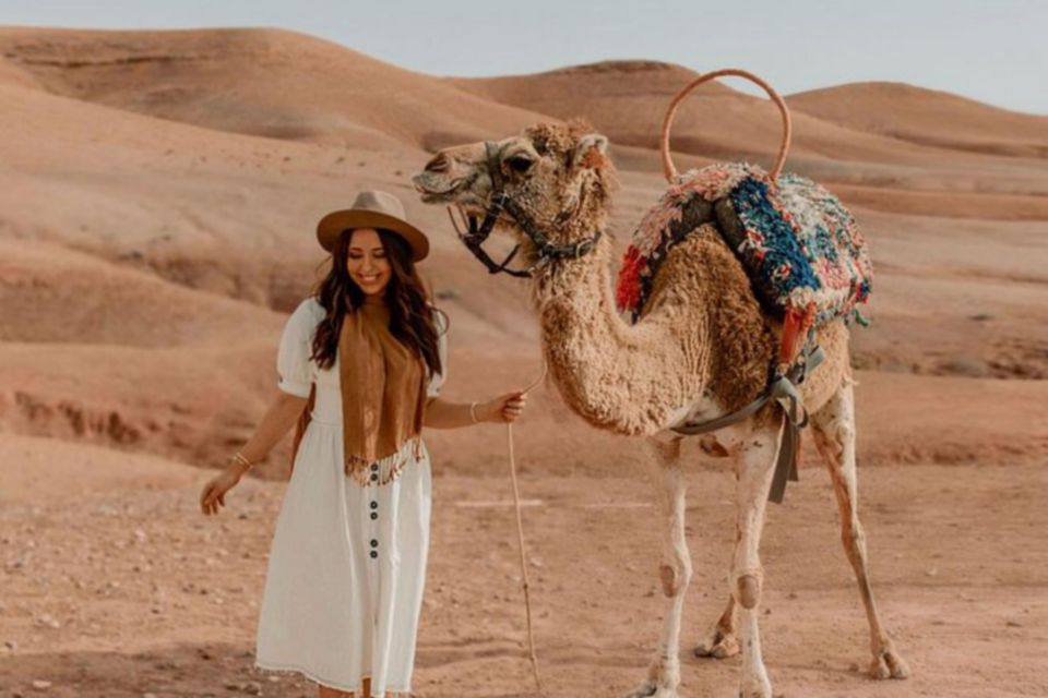 Marrakech: Sunset Dinner in Agafay Desert With Camel Ride - Key Points