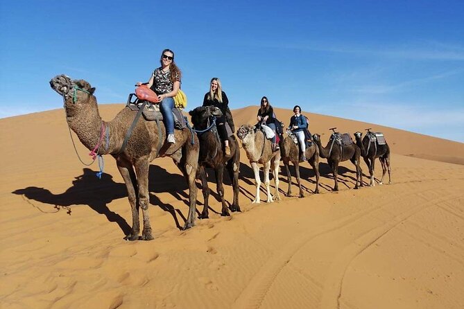 Marrakech to Fez 4-Day Private Trip With Erg Chebbi Desert - Key Points