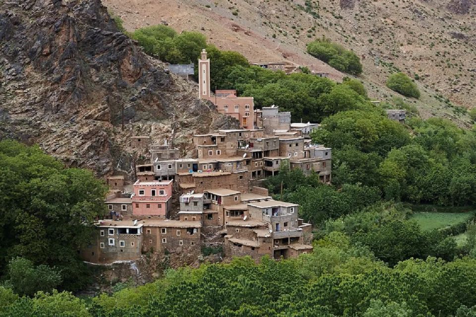 Marrakech to Ourika Valley Day Tour and Anima Garden Visit - Key Points