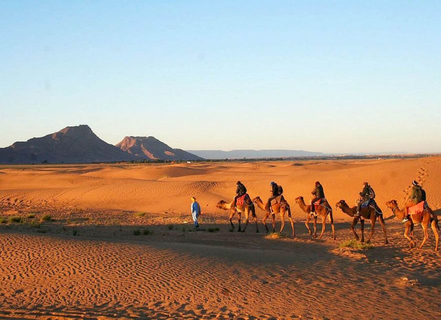 Marrakech to Zagora 2-Day Desert With Food & Camp - Key Points