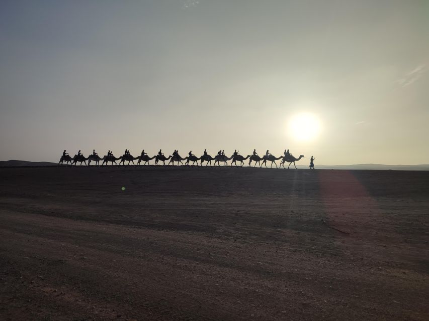 Marrakesh: Agafay Desert Sunset, Camel Ride, Dinner and Show - Key Points