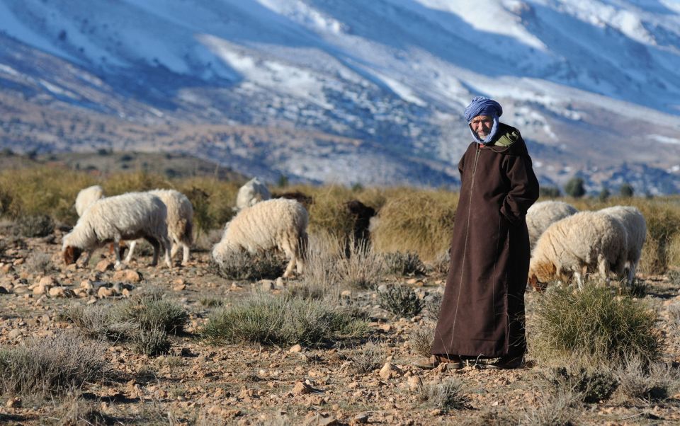 Marrakesh: Atlas Mountains, Berber Villages and Desert Tour - Key Points