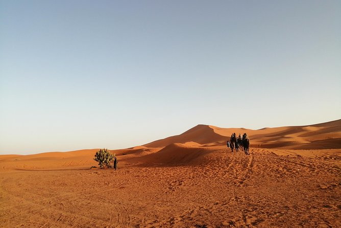 Marrakesh Private 6-Day City and Sahara Desert Tour  - Marrakech - Itinerary Overview