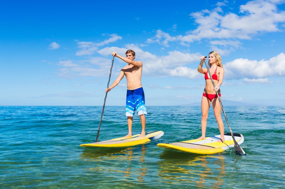 maui 2 hour stand up paddleboard surfing lesson Maui: 2-Hour Stand-Up Paddleboard Surfing Lesson