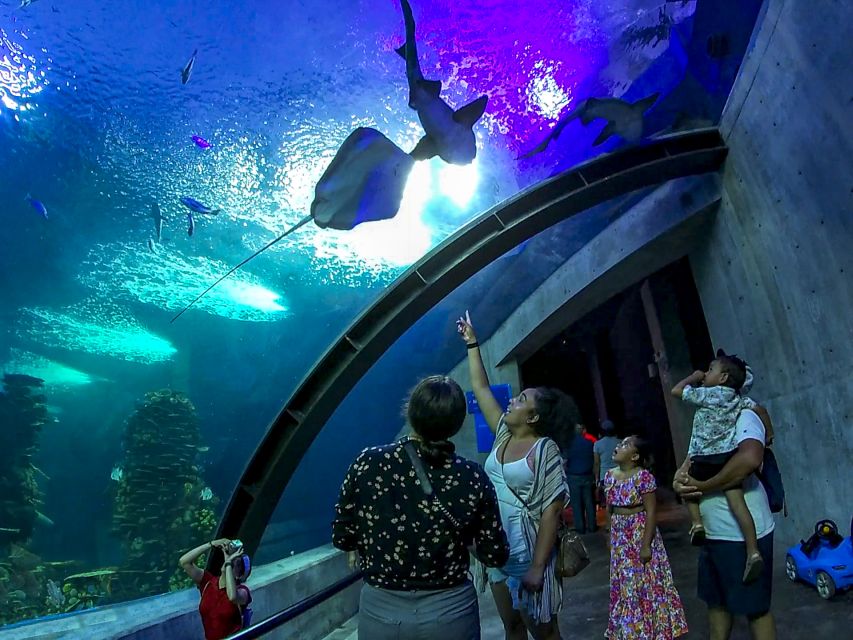 Mazatlan: Grand Aquarium Ticket and City Sightseeing Tour - Key Points