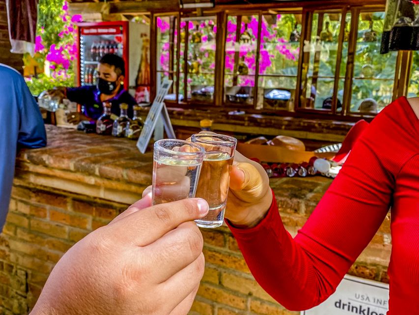 Mazatlán: Tequila Factory & Country Sightseeing - Key Points