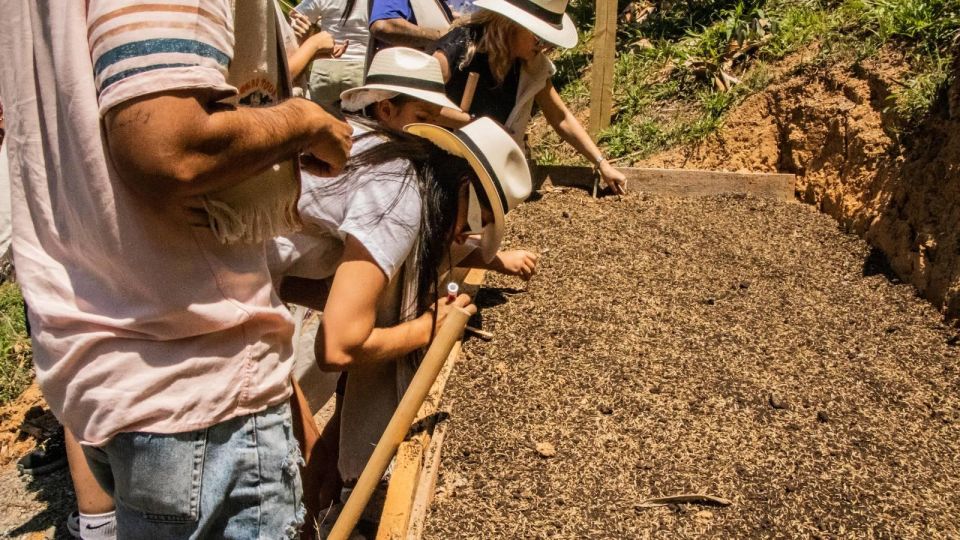 Medellin: Agro-Tour Live a Magical and Educational Experience - Key Points