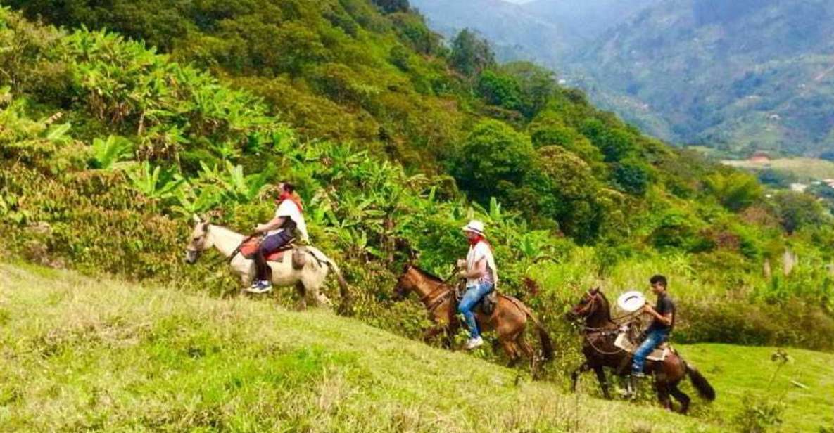 Medellín: Authentic Colombian Horseback Ride - Key Points