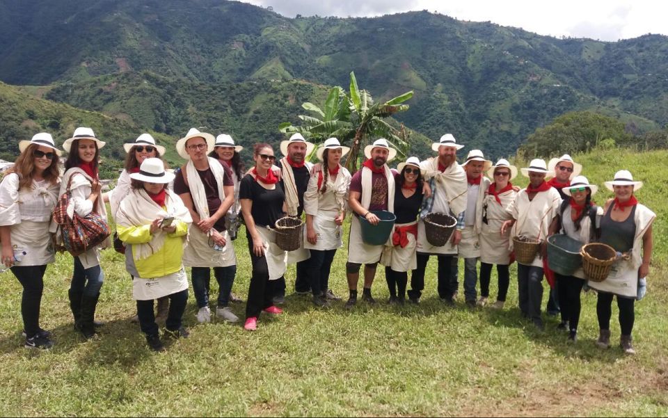 Medellín: Coffee Tour With Tastings and Lunch - Key Points