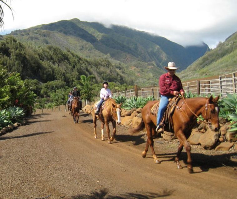 Medellin: Guided Tour on Horseback in Nature - Key Points