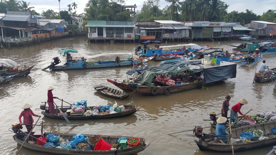 Mekong Day Tour by Car:Cai Be Market, Local Island & Cycling - Key Points