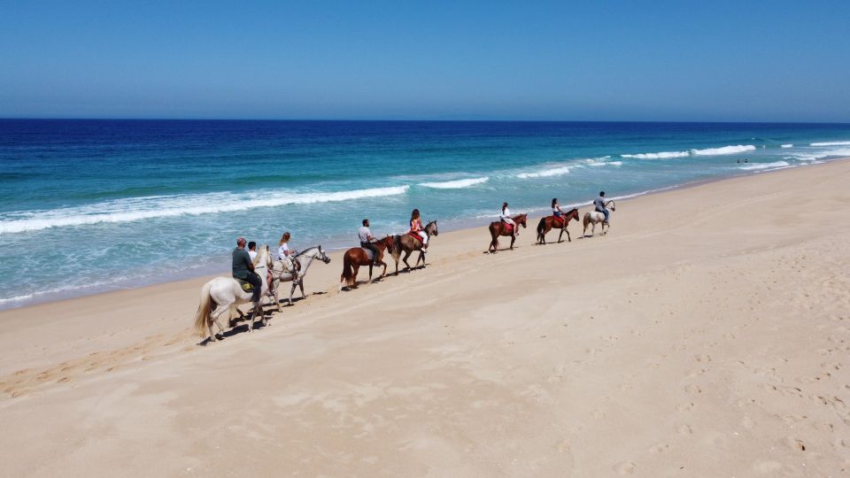 Melides: Horseback Riding on Melides Beach - Key Points