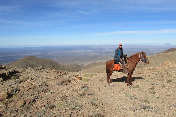 Mendoza Private Multi-Day Horseback Excursion in the Andes - Key Points