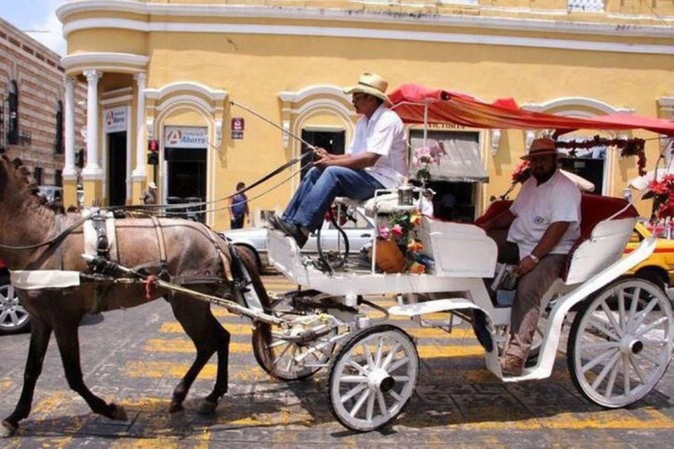 Mérida: Horse-Drawn Carriage Experience - Key Points