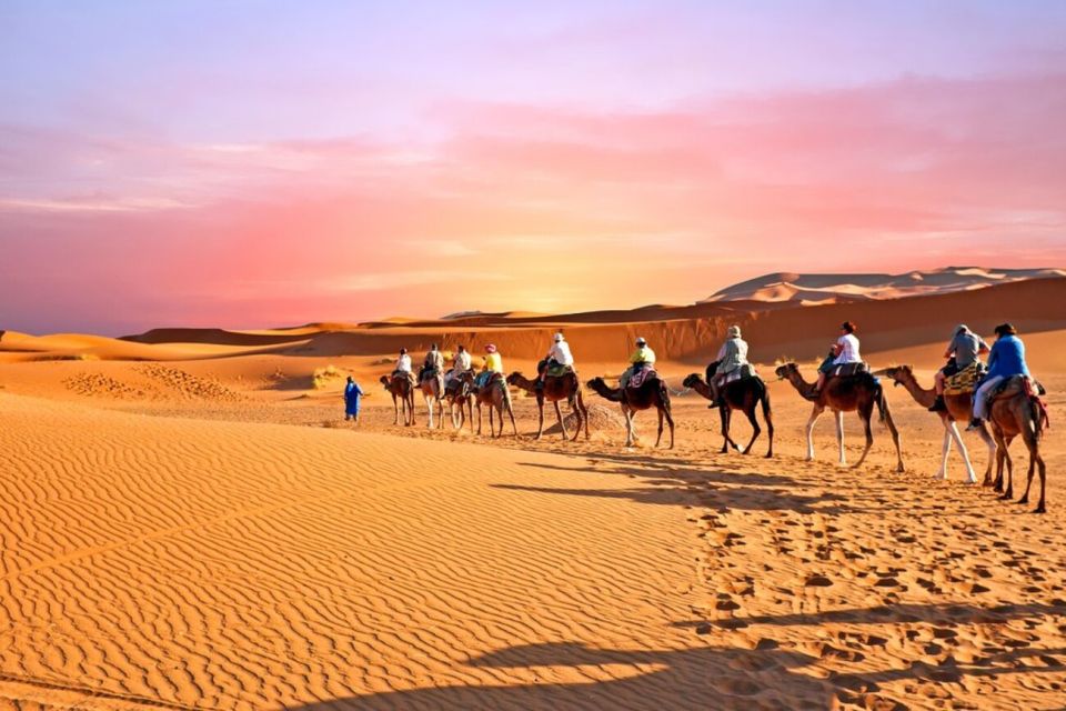 Merzouga: Desert Tour From Fez to Marrakech (3 Days) - Key Points