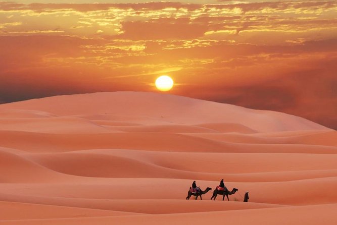 Merzouga Desert Tour From Marrakech & Camel Ride - Key Points