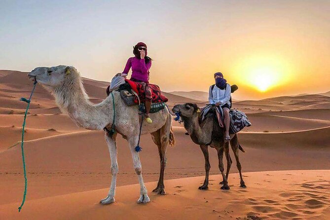 MERZOUGA DESERT TREK - 3 DAYS From Marrakech - Tour Highlights