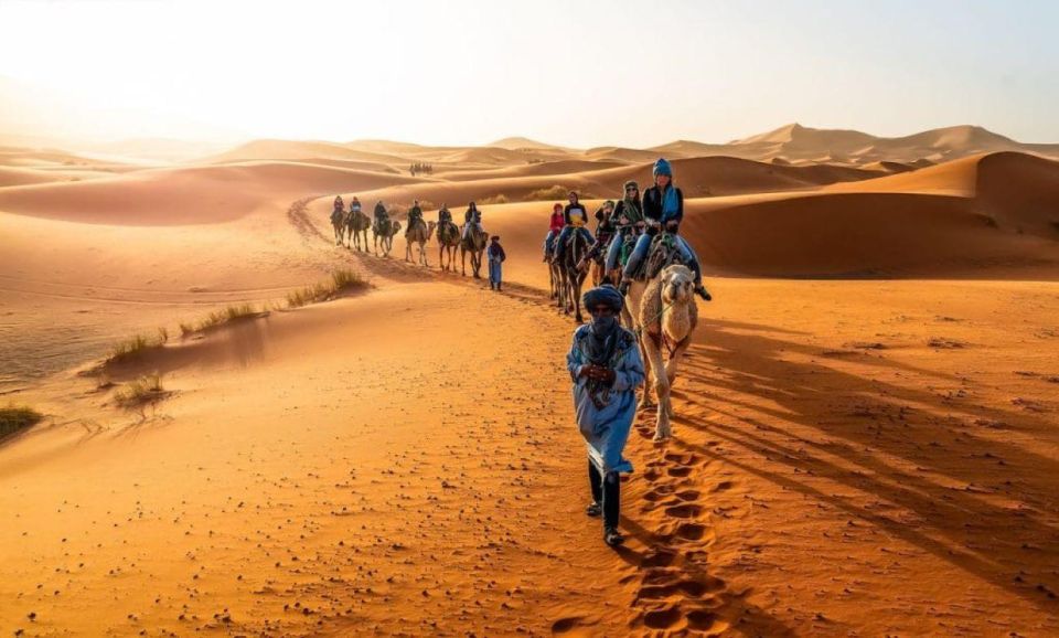 Merzouga :From Marrakech 3 Day Trip With Half Board & Camp - Key Points