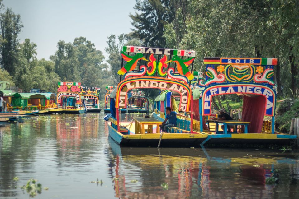 Mexico City: Xochimilco - Coyoacán - UNAM - Key Points