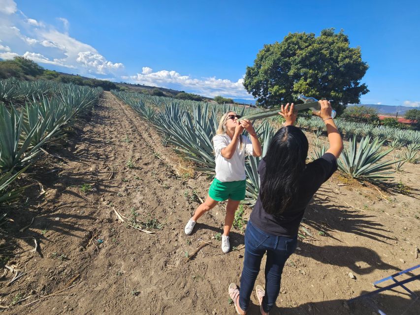 Mezcal Day Premium Family Distilleries Tour With Lunch - Key Points