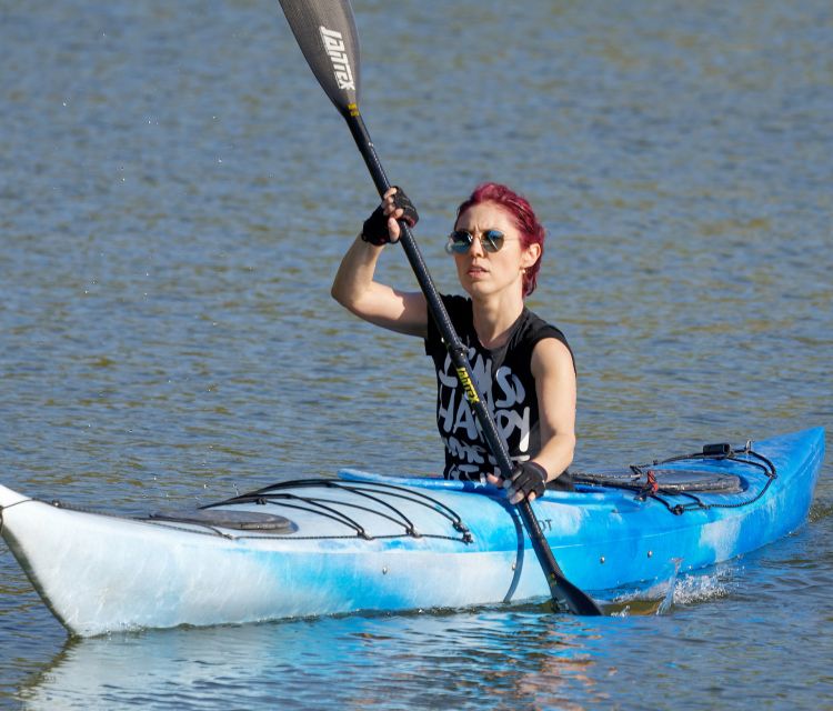 Miami: Night Biscayne Bay Aquatic Preserve Kayak Tour - Key Points