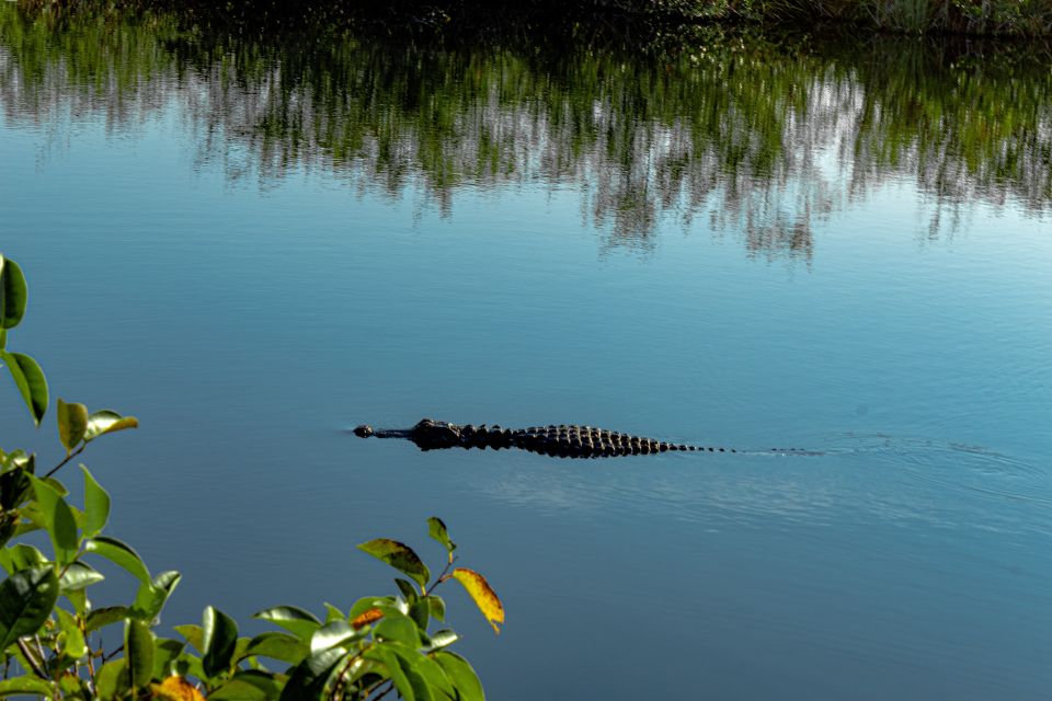 Miami South Beach: Everglades Airboat & Wildlife Experience - Booking Details