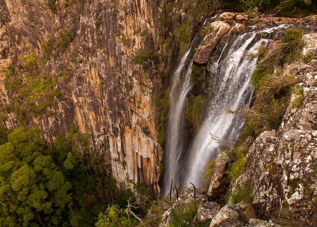 Minyon Falls: Explore the Rainforest - Key Points