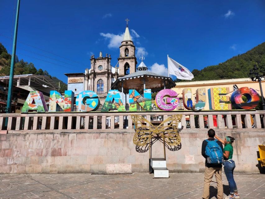 Monarch Butterfly Tour Mexico: Sierra Chincua & Angangueo - Key Points