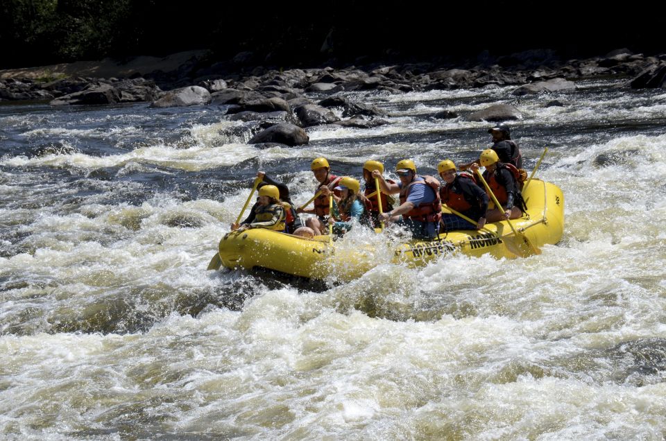 Mont-Tremblant: Full Day of Rouge River White Water Rafting - Key Points