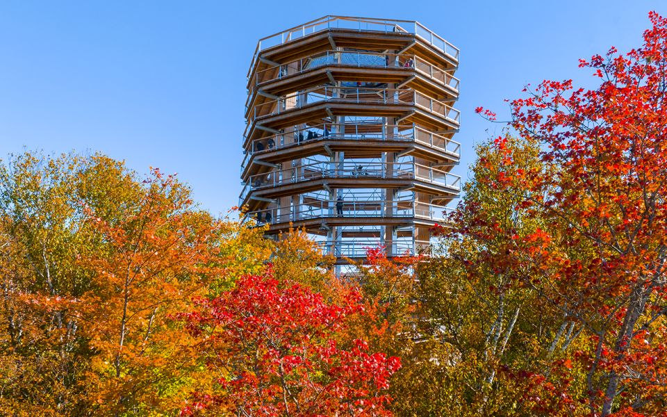 mont tremblant laurentians treetop observatory and walk Mont-Tremblant: Laurentians Treetop Observatory and Walk