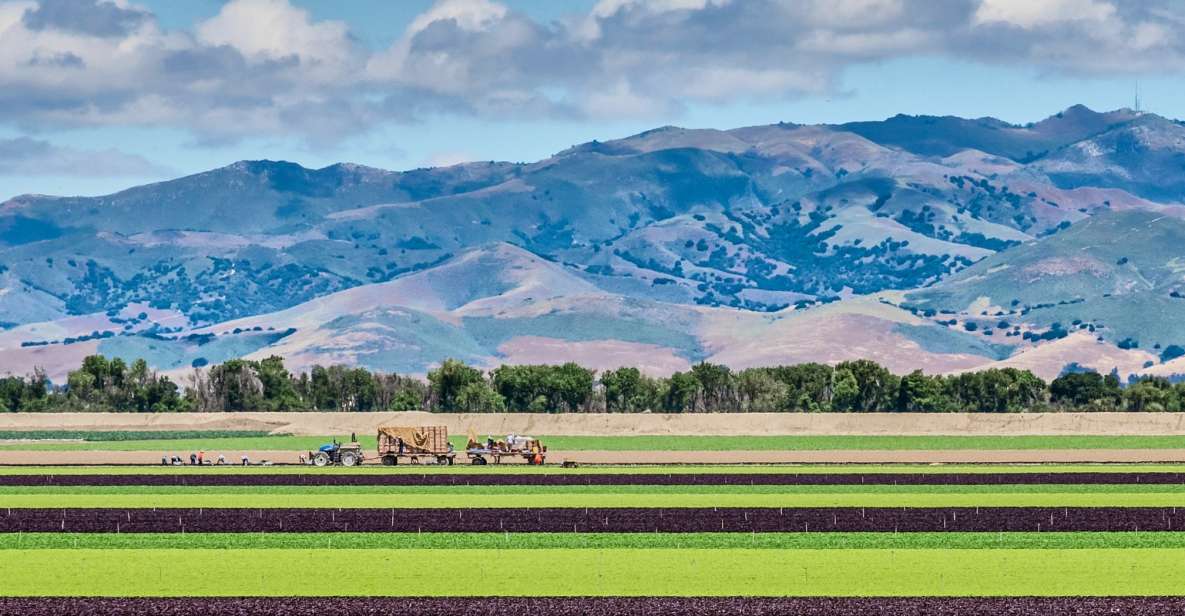 Monterey County Salinas Valley Farm Tour - Key Points