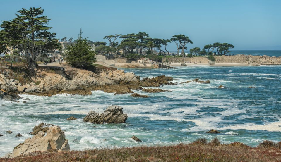 Monterey Peninsula Sightseeing Tour Along the 17 Mile Drive - Key Points