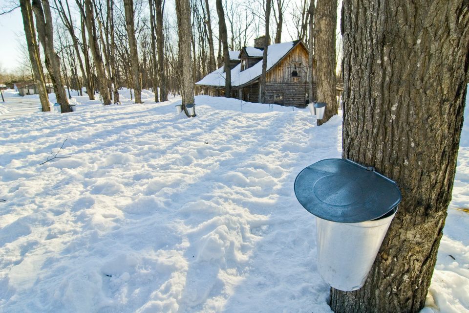 Montreal: Sugar Shack Maple Syrup Day Trip With Lunch - Key Points