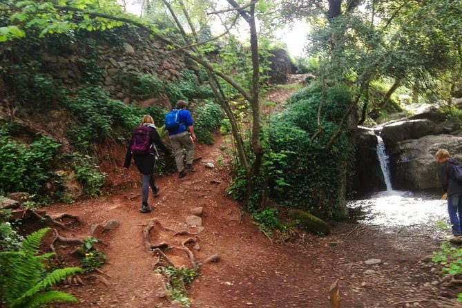 Montseny Guided Hiking Tour From Barcelona With Organic-Friendly Lunch - Key Points