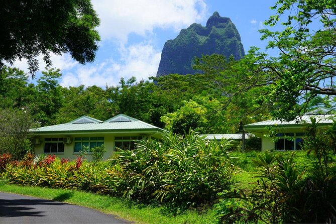 Moorea Aito 4WD Safari Tour - Half Day - Key Points