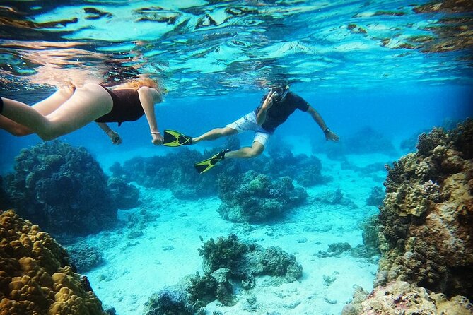 Moorea Half Day Private Tour With Snorkeling and Cruising the Lagoon - Key Points