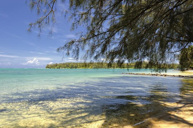 Moorea Lagoon Excursion With Lunch - Key Points