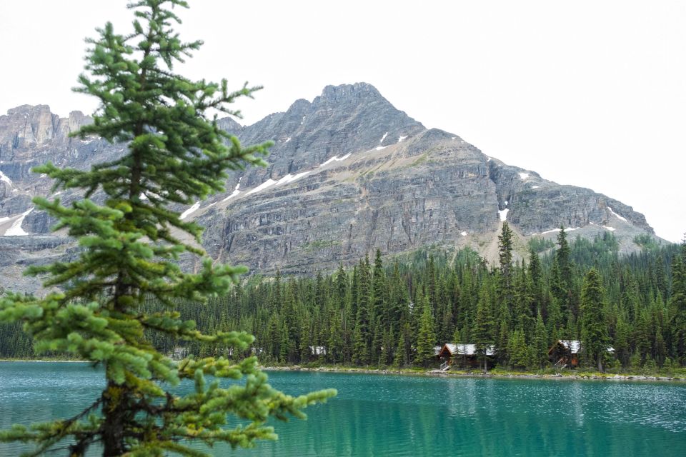 Moraine Lake & Lake Louise Half-Day Sightseeing Tour - Key Points