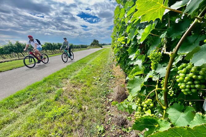 Moravian E-Bike & Wine Day Trip From Brno - Key Points